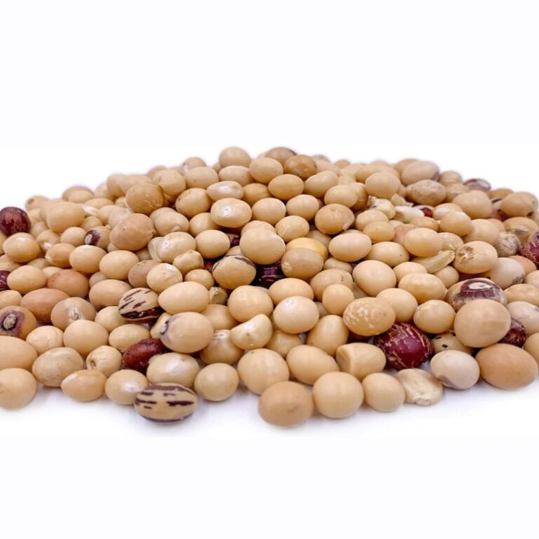 Bambara nut-1691515228